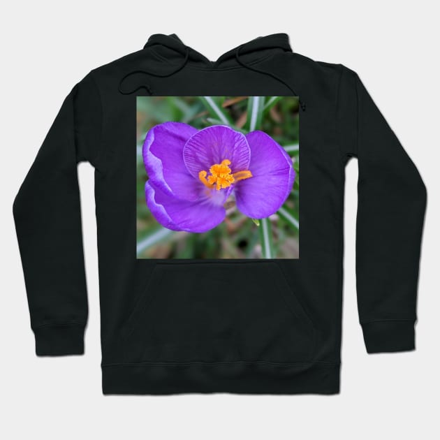 Purple and Orange Flower 2 Hoodie by AustaArt